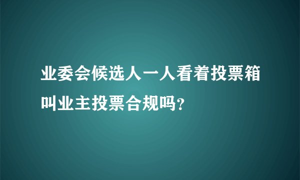 业委会候选人一人看着投票箱叫业主投票合规吗？
