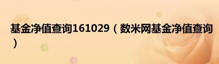 基金净值查询161029（数米网基金净值查询）