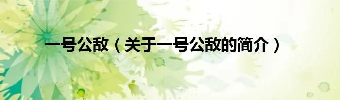 一号公敌（关于一号公敌的简介）