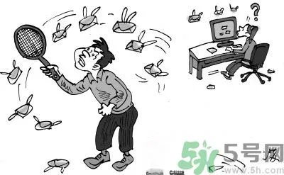 1分钟被骗334万 钓鱼邮件内容是什么?