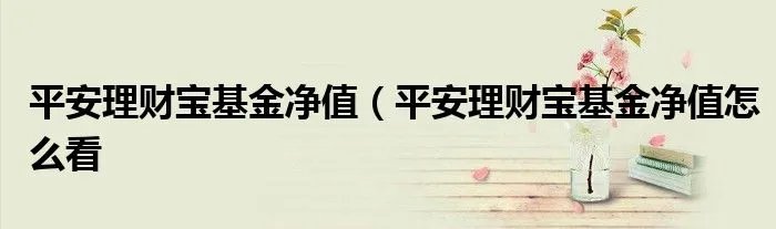 平安理财宝基金净值（平安理财宝基金净值怎么看
