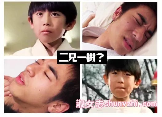 二见一树gv资源 二见一树个人资料