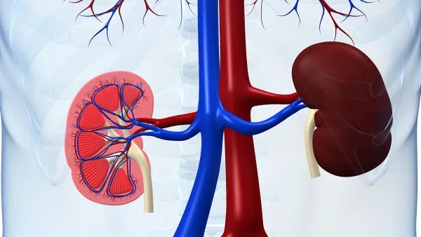 肾癌晚期还能活多久