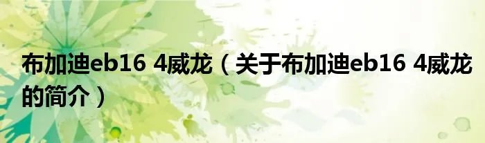 布加迪eb16 4威龙（关于布加迪eb16 4威龙的简介）