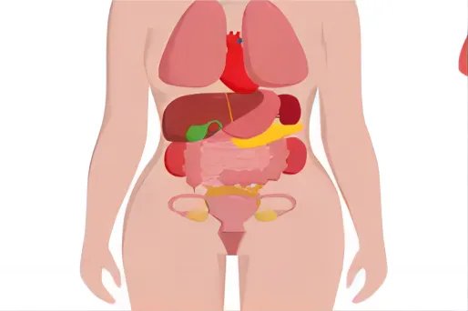 女性身体各个器官疼痛对照图解