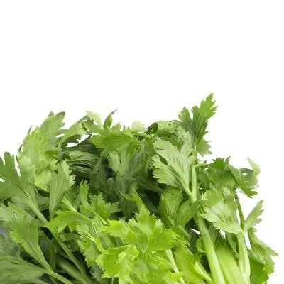 红葡萄酒怎么喝