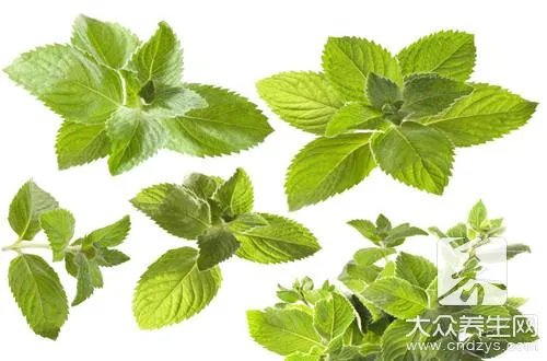 薄荷露功效与作用有哪些