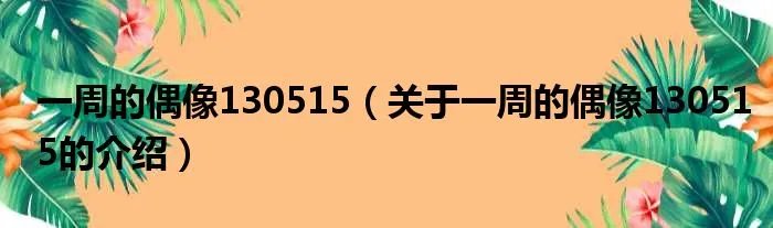 一周的偶像130515（关于一周的偶像130515的介绍）