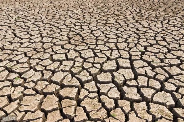 大旱三年是哪年