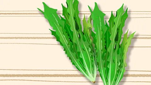 天然维生素c的作用及功能