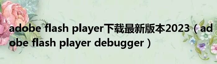 adobe flash player下载最新版本2023（adobe flash player debugger）