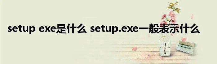 setup exe是什么 setup.exe一般表示什么