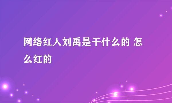 网络红人刘禹是干什么的 怎么红的