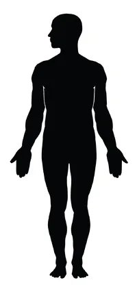 女人的6种身材那种更美