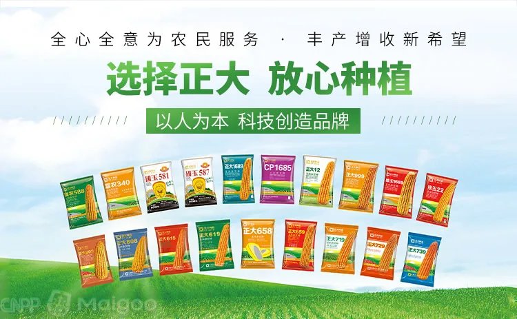 品牌榜：2023年猪饲料十大品牌排行榜 投票结果公布【新】