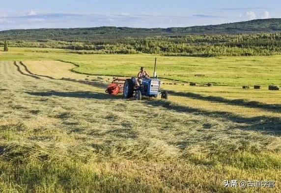 美国农村人会像中国部分农村人一样向往城市吗？