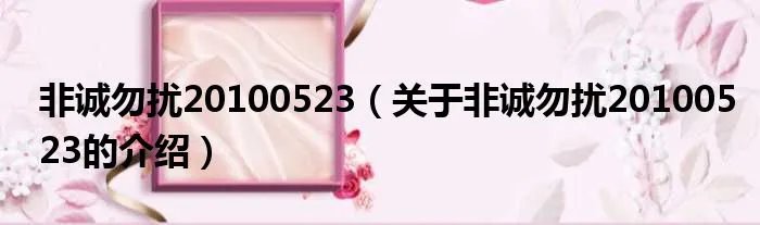 非诚勿扰20100523（关于非诚勿扰20100523的介绍）