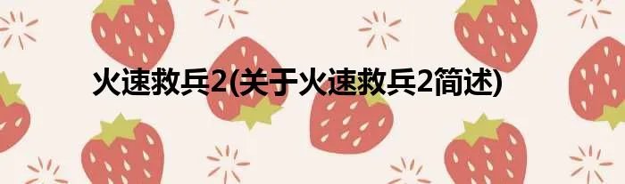 火速救兵2(关于火速救兵2简述)