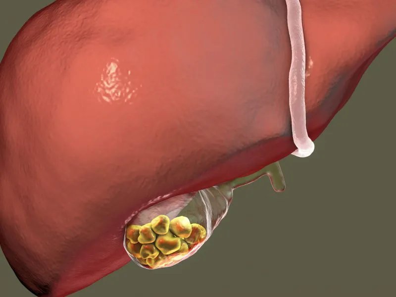 硒与肝病的关系