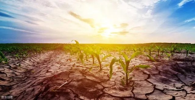 大旱三年是哪年