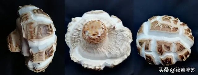 疫情期间妈妈在家做的事