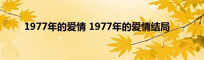 1977年的爱情 1977年的爱情结局