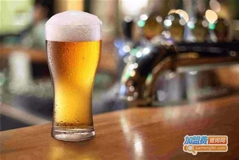 青岛啤酒工资查询网址，青岛啤酒公司查工资的网站?