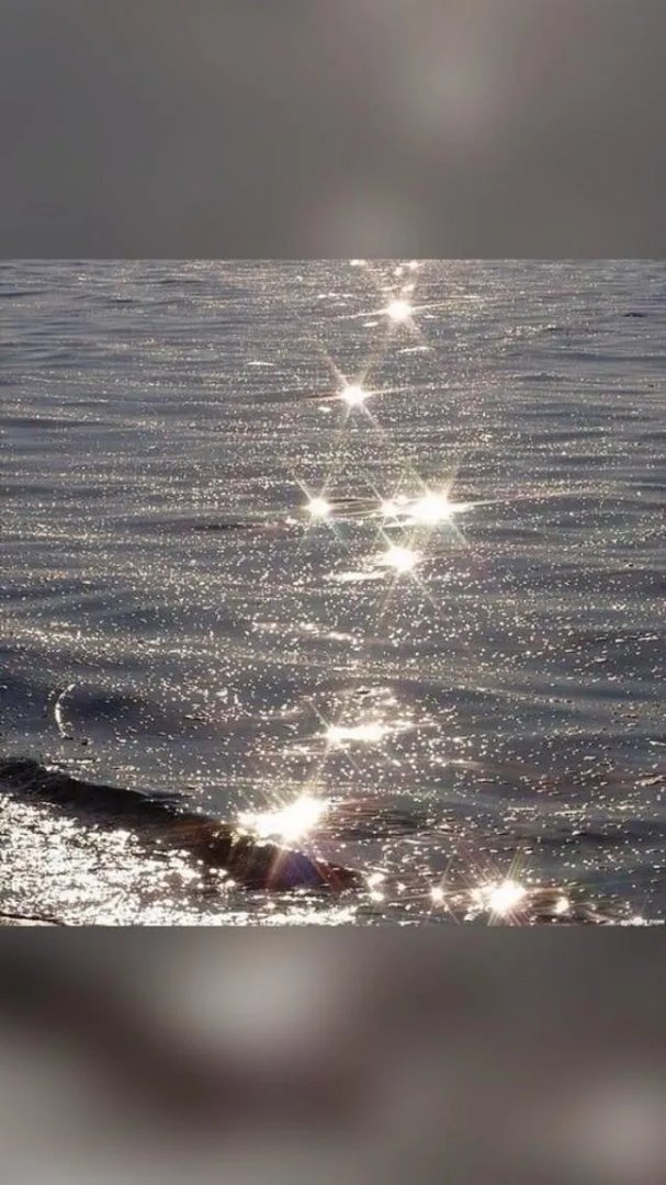 4月8号我们武汉解封了，大家有什么感受，最想做的事情是什么？