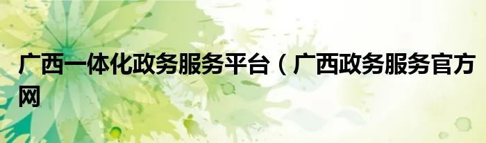 广西一体化政务服务平台（广西政务服务官方网