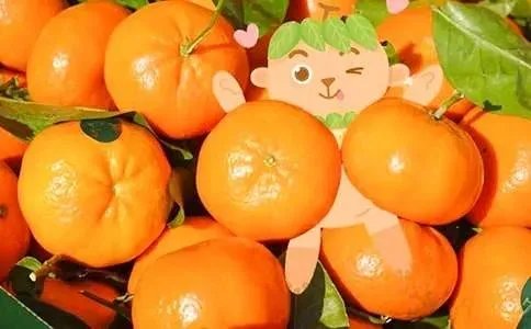 读《橘子味的夏天》有感