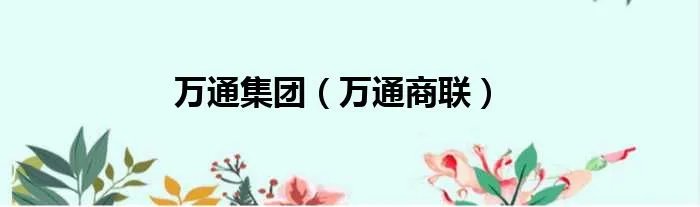 万通集团（万通商联）