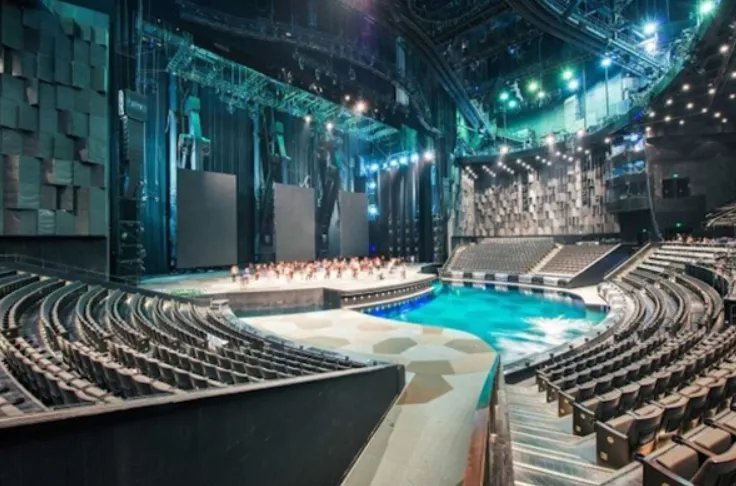 抗疫者看演出身亡