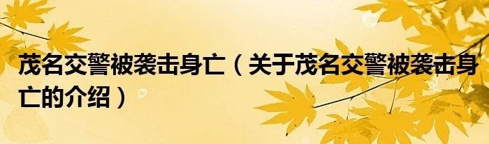 茂名交警被袭击身亡（关于茂名交警被袭击身亡的介绍）