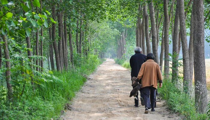 空巢期是什么意思 空巢期的意思