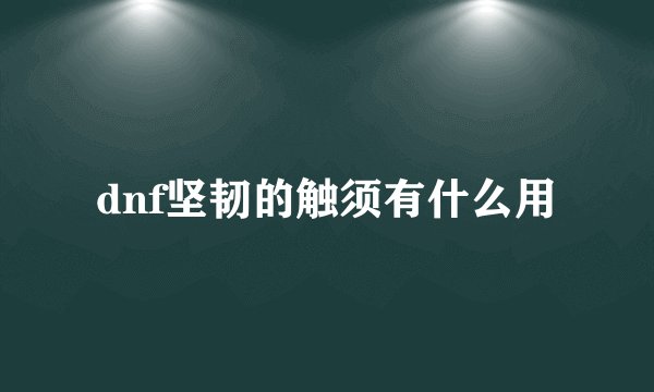 dnf坚韧的触须有什么用