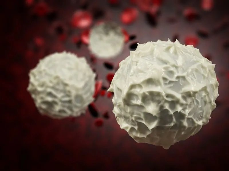 如何治疗白细胞减少