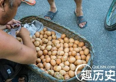 商贩露天孵小鸡 无锡马路温度高达50度刚好孵化