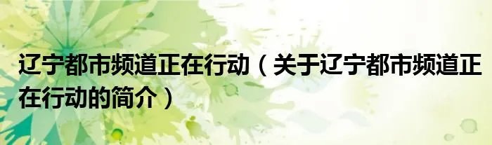 辽宁都市频道正在行动（关于辽宁都市频道正在行动的简介）