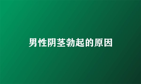 男性阴茎勃起的原因