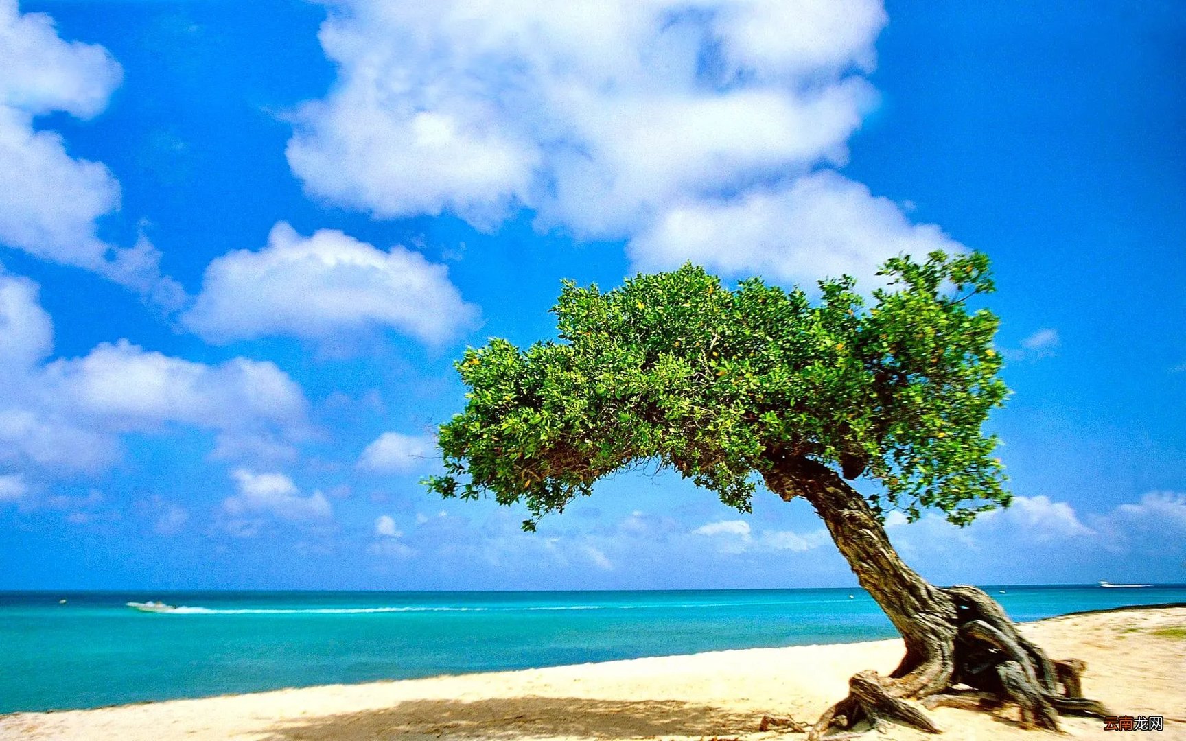 淘宝奢侈品代购靠谱吗,淘宝上奢侈品的代购店为什么便宜