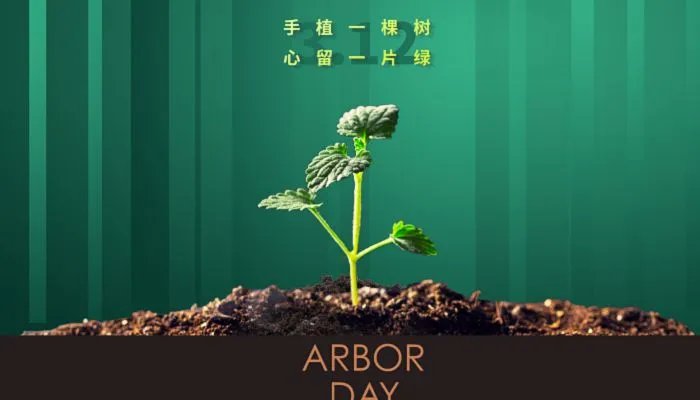 植树节的意义是什么 植树节活动的意义与价值