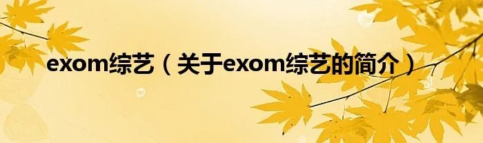 exom综艺（关于exom综艺的简介）