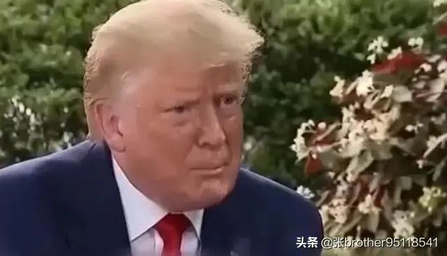 你怎么评价特朗普败选?