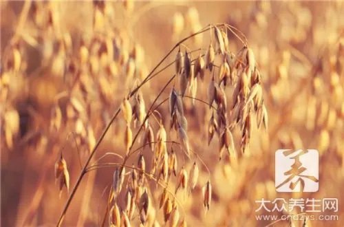 6种谷物饮料助您健康每一天！