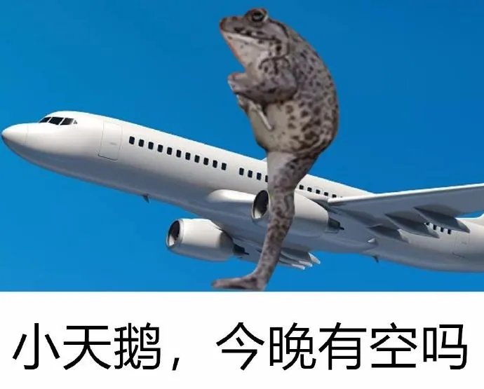 抖音小天鹅今晚有空吗表情包原图下载