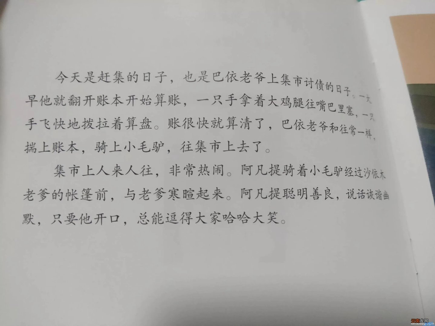 阿凡提和皮皮驴全集 动画片阿凡提的驴叫什么名字