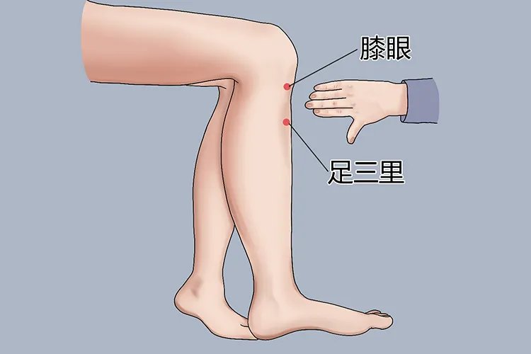 艾灸的部位图片