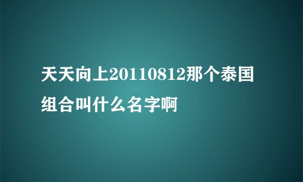 天天向上20110812那个泰国组合叫什么名字啊