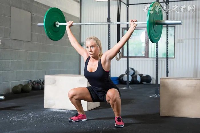 减肥计划节食与运动