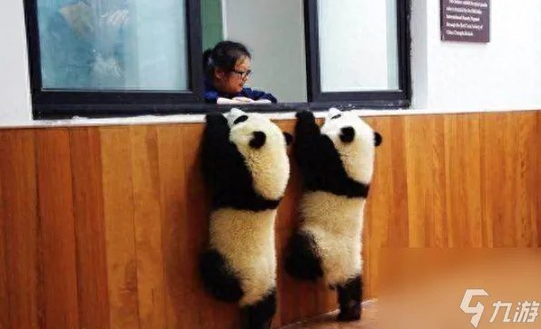 3d版魂斗罗怎么玩 魂斗罗中的四位狠角色你都知道吗